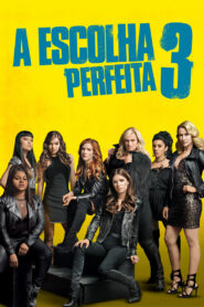 A Escolha Perfeita 3